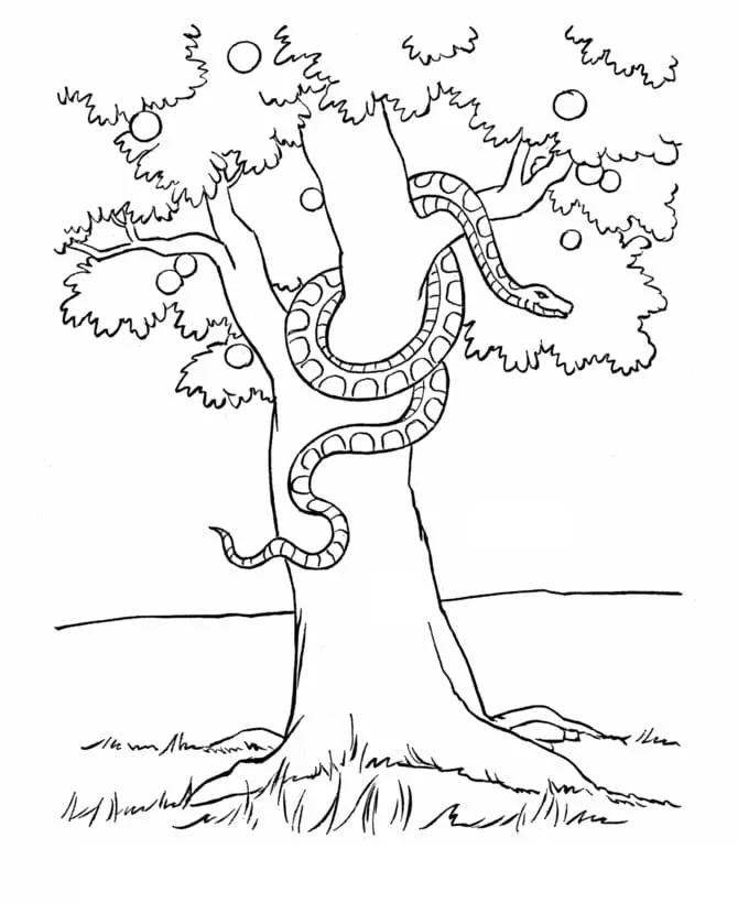 Desenhos de Adao E Eva Para Colorir 93