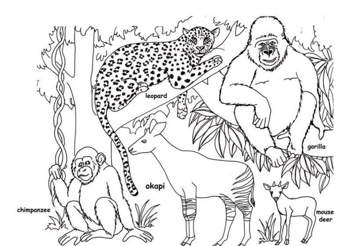 Desenhos de Africa Para Colorir 4