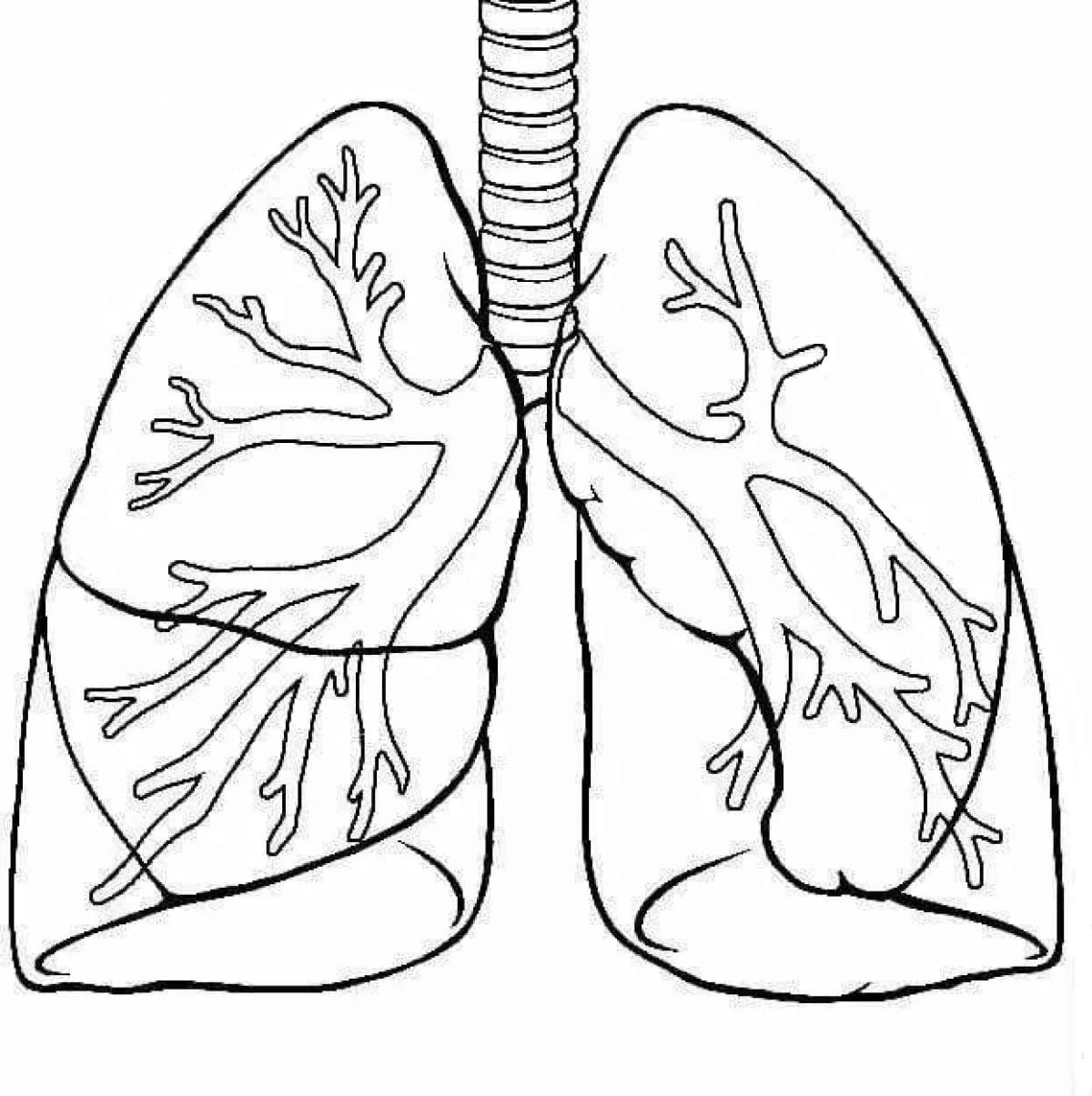 Anatomy Coloring Pages 83