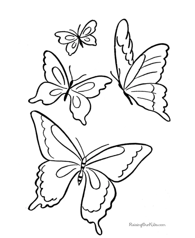 Animal Coloring Pages