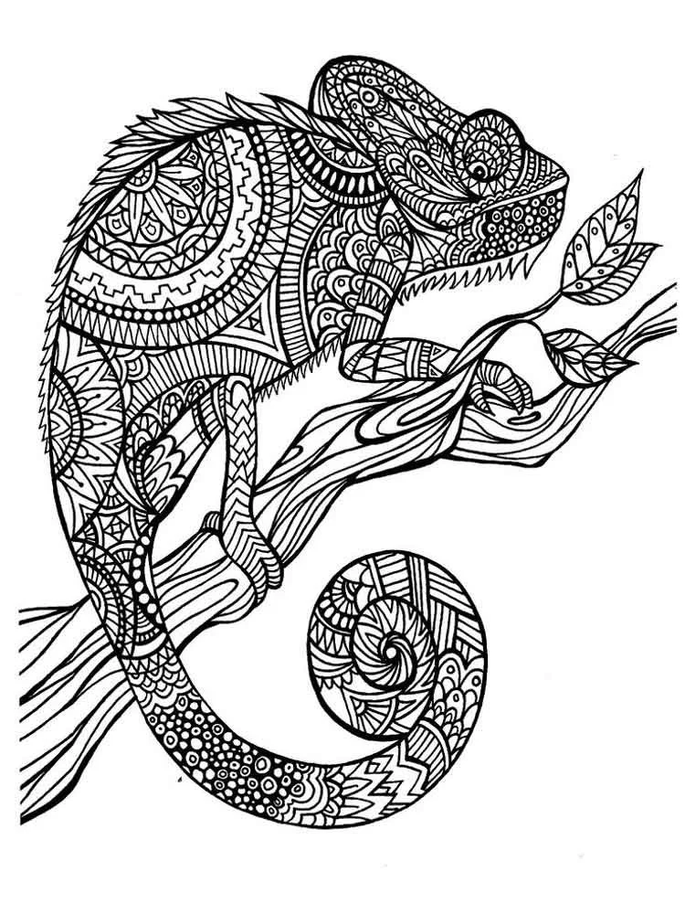 Antistress Coloring Pages 55