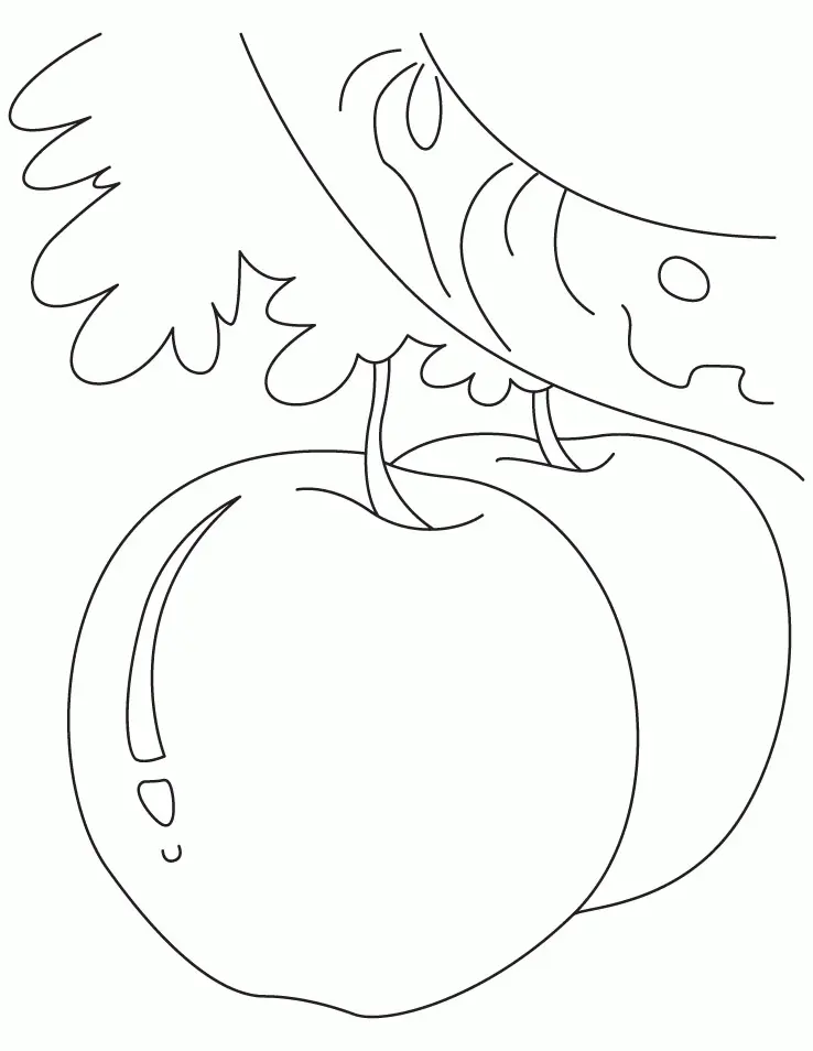 Apple Coloring Pages 14