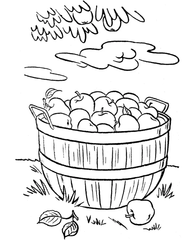 Apple Coloring Pages 43