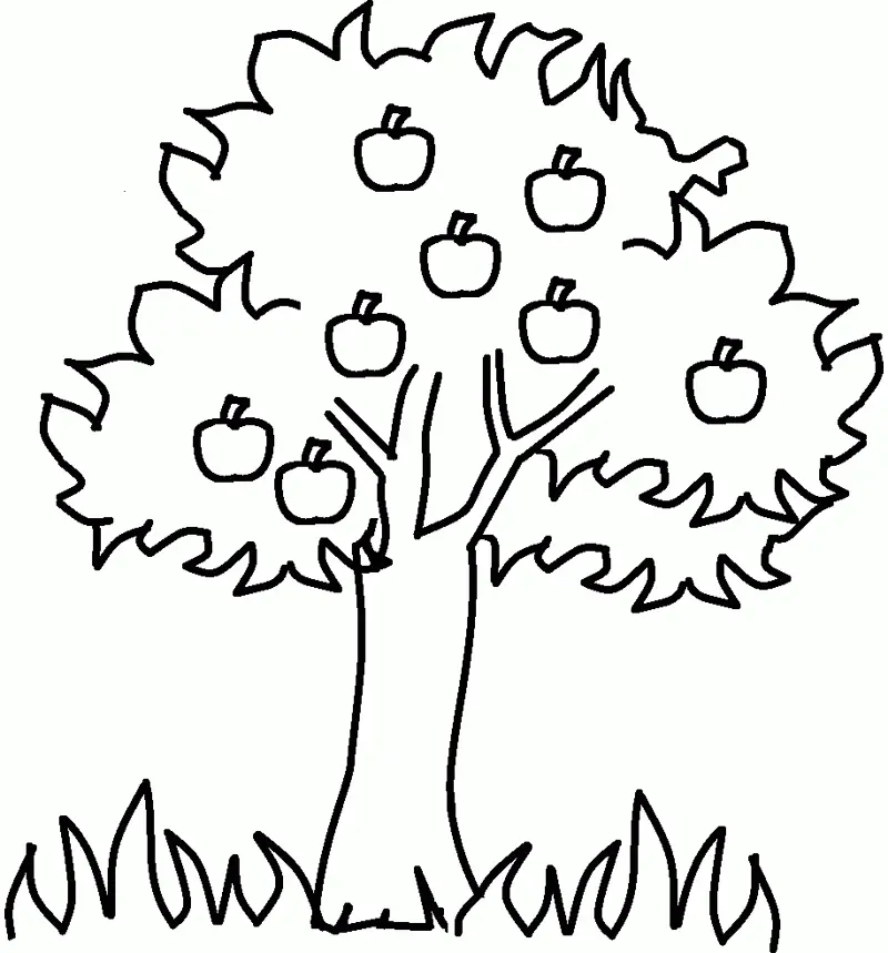 Apple Tree Coloring Pages 1