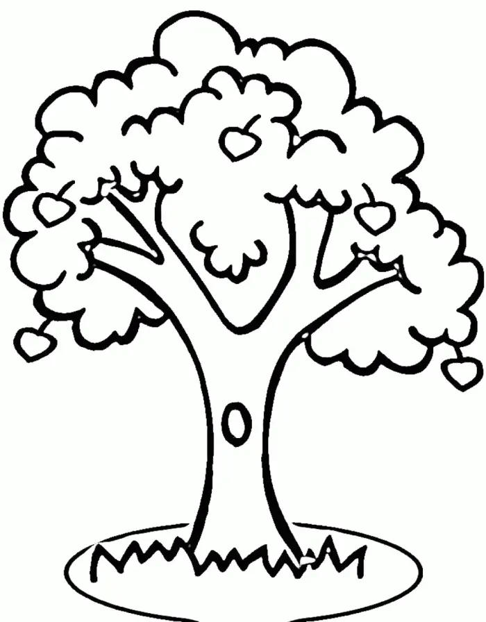 Apple Tree Coloring Pages 11