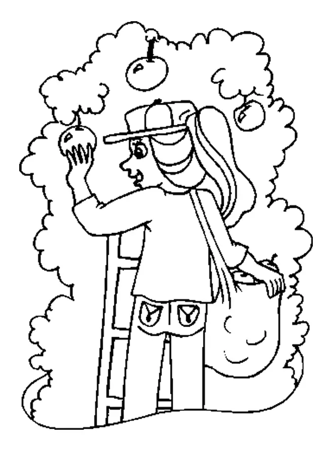 Apple Tree Coloring Pages 14