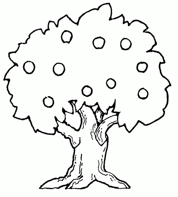 Apple Tree Coloring Pages 17