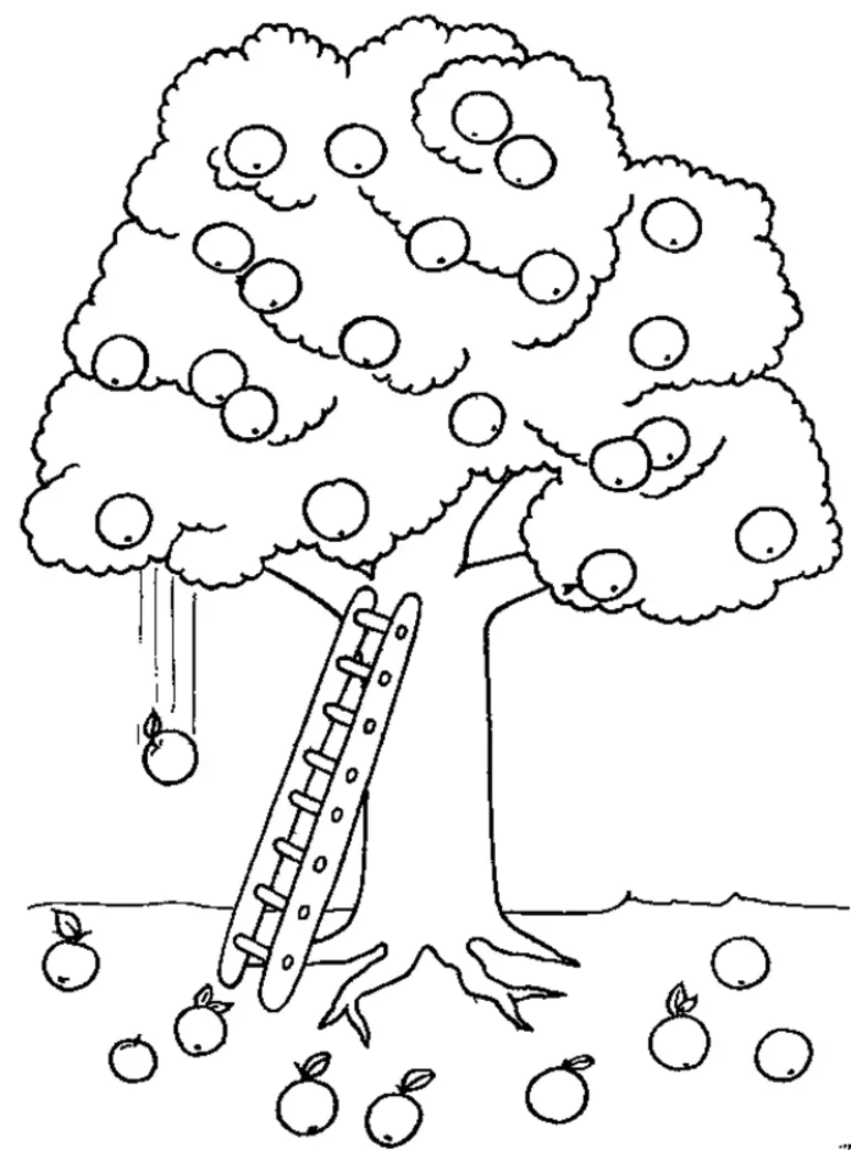 Apple Tree Coloring Pages 18