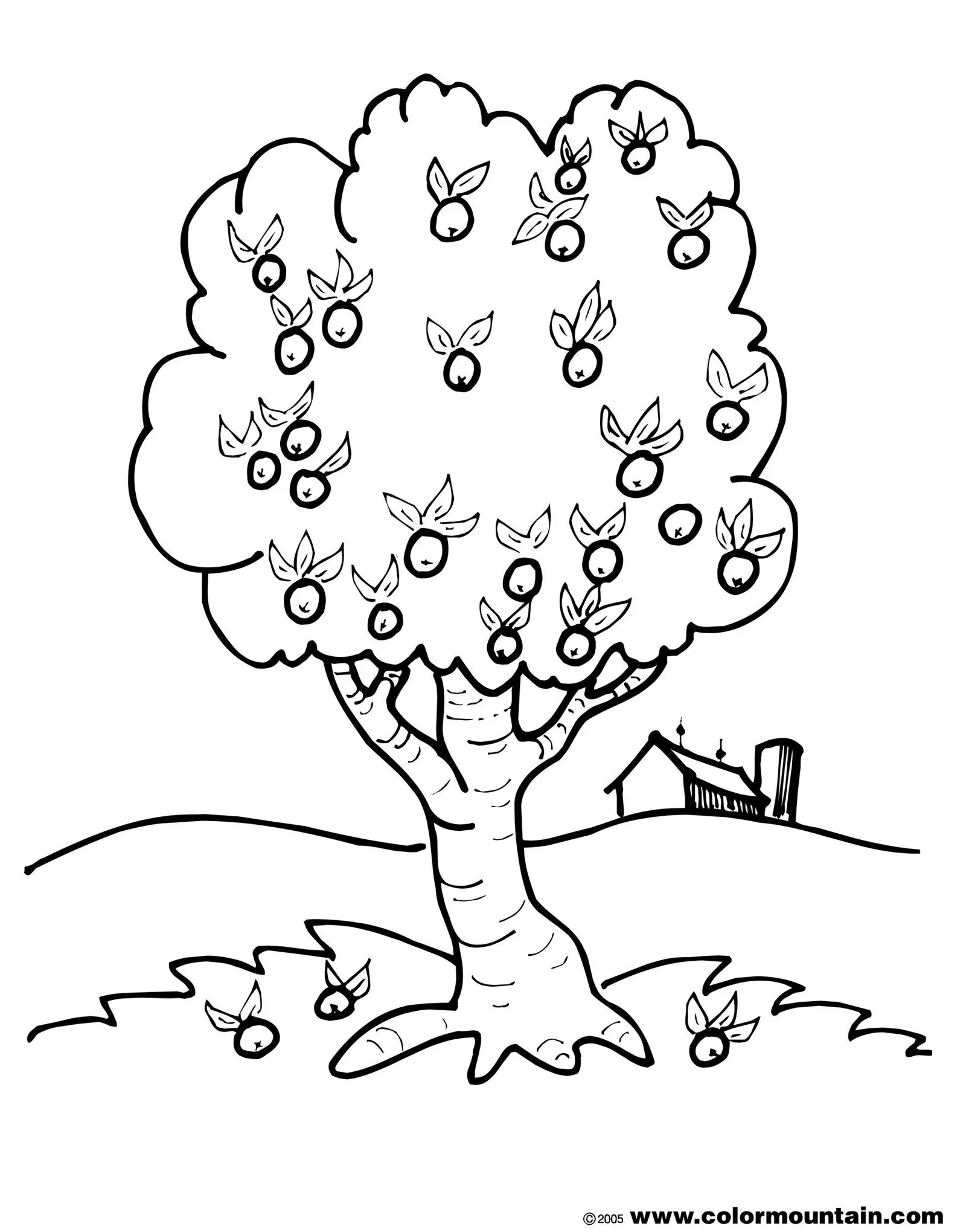 Apple Tree Coloring Pages 21