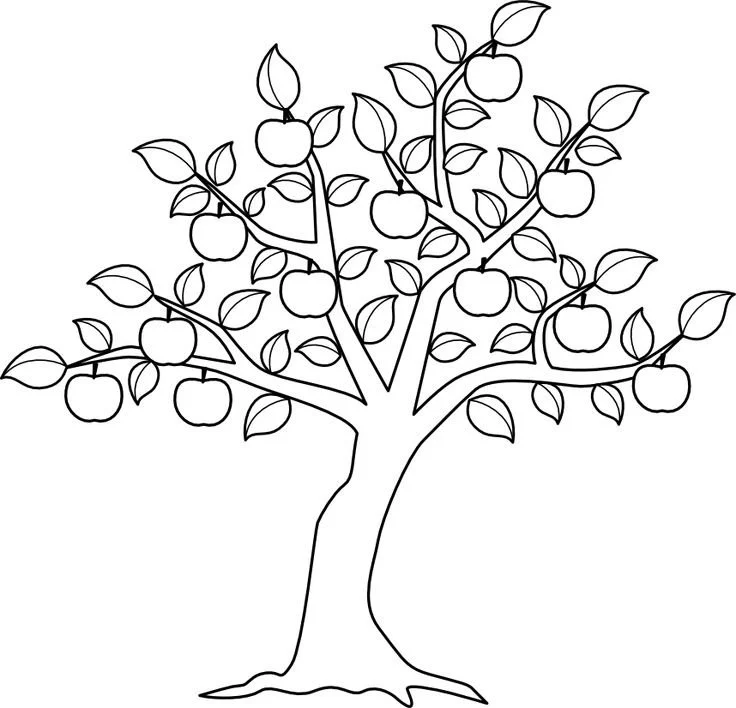 Apple Tree Coloring Pages 24