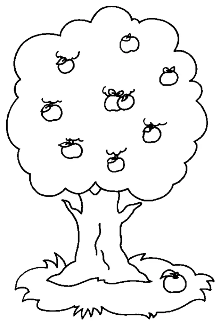 Apple Tree Coloring Pages 3