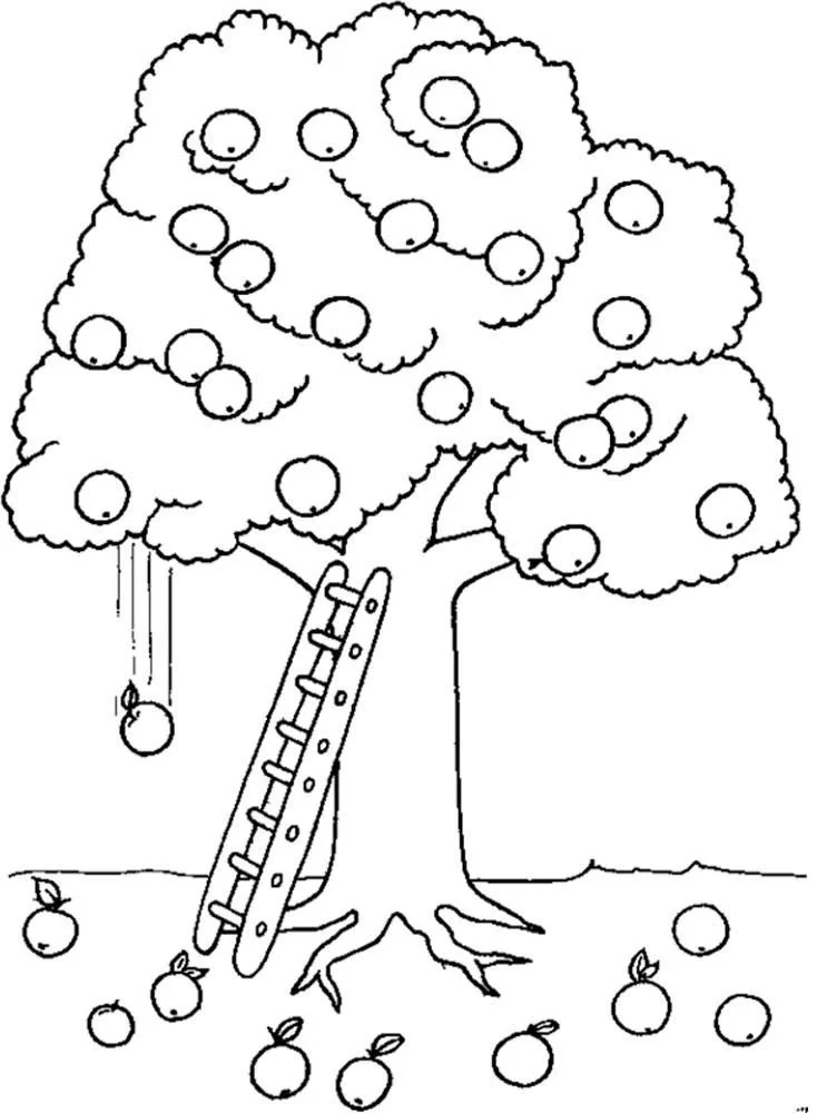 Apple Tree Coloring Pages 4