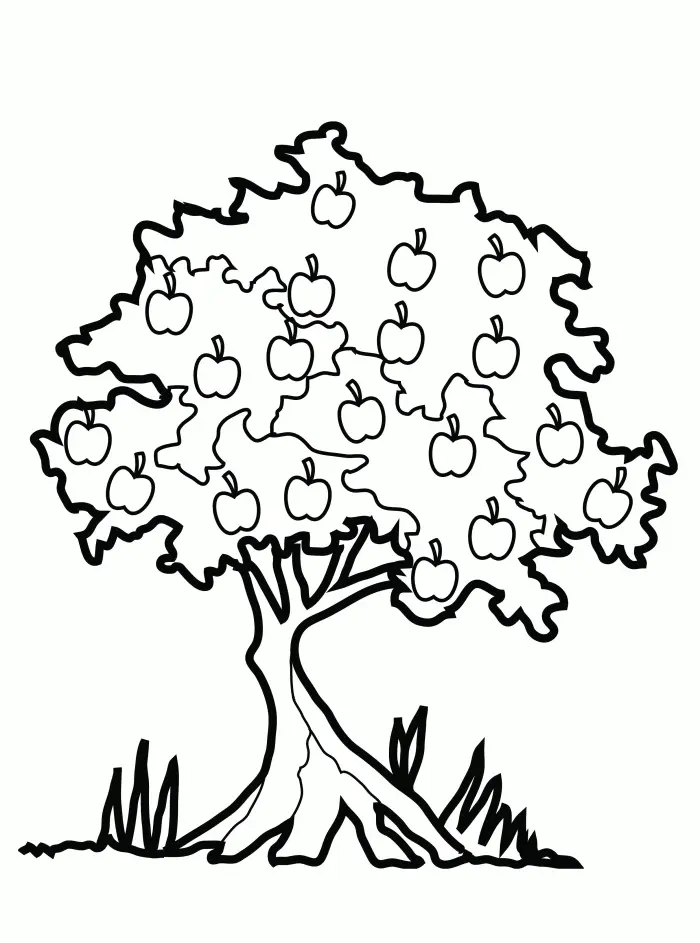 Apple Tree Coloring Pages 6