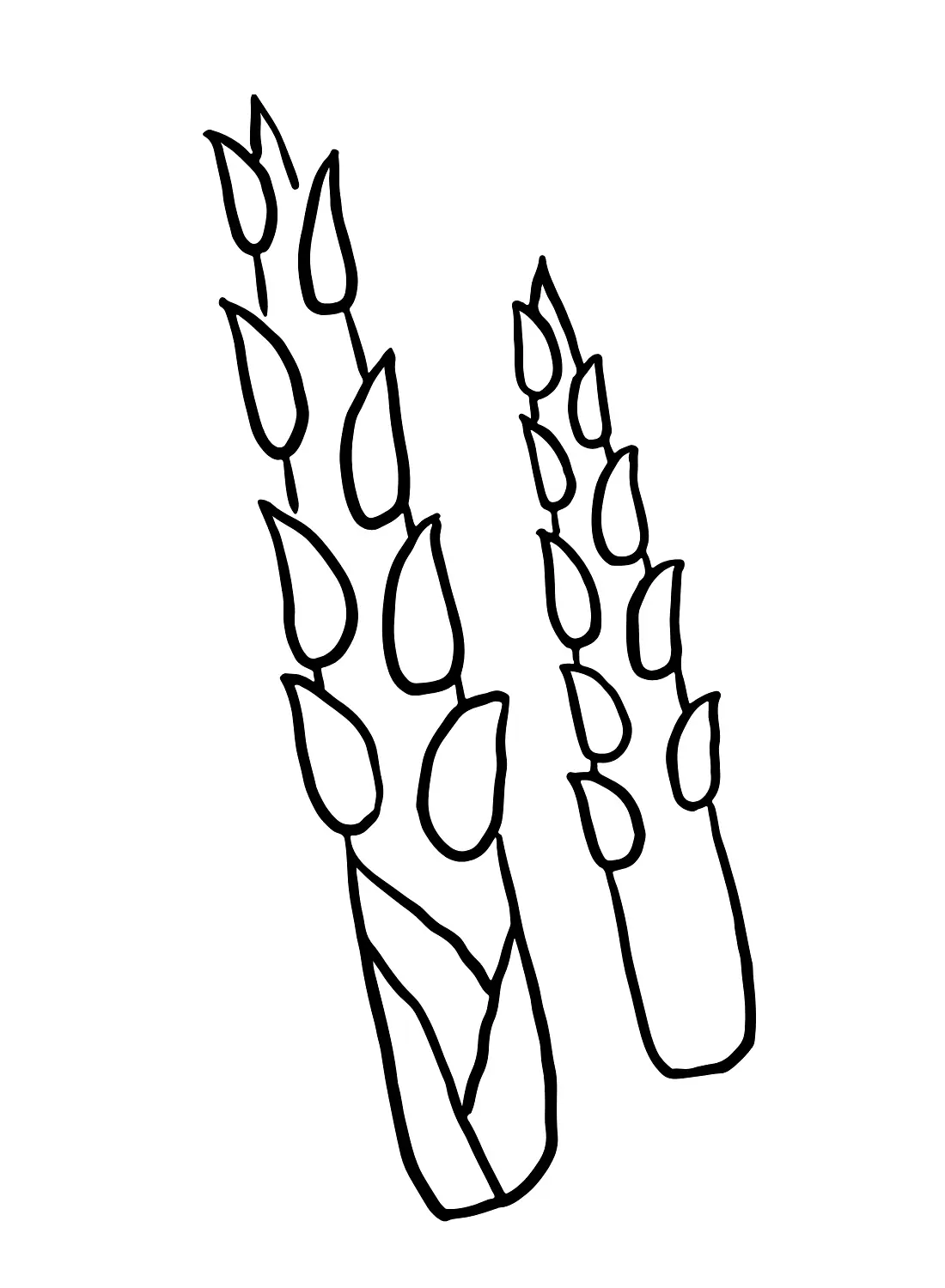 Asparagus Coloring Pages 31