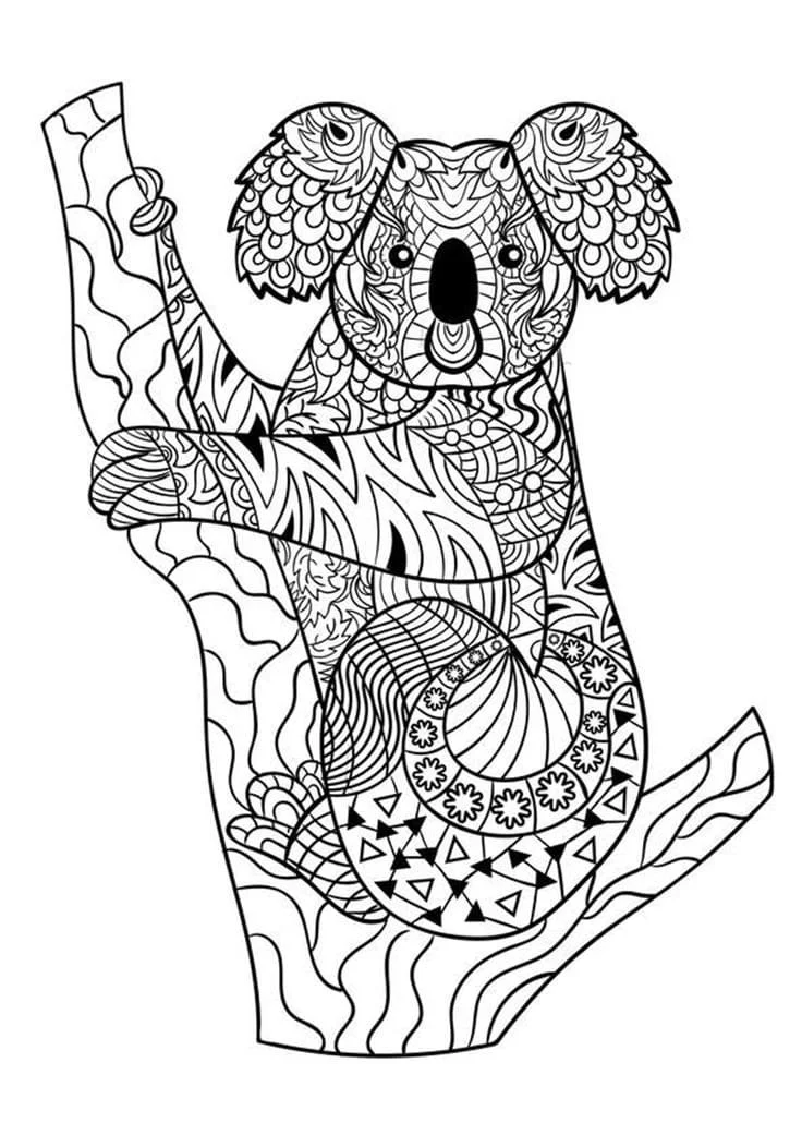 Australische Tiere Ausmalbilder 61