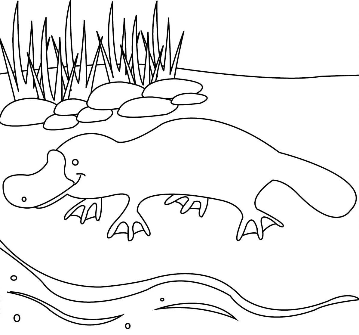 Animales Australianos Para Colorear 76