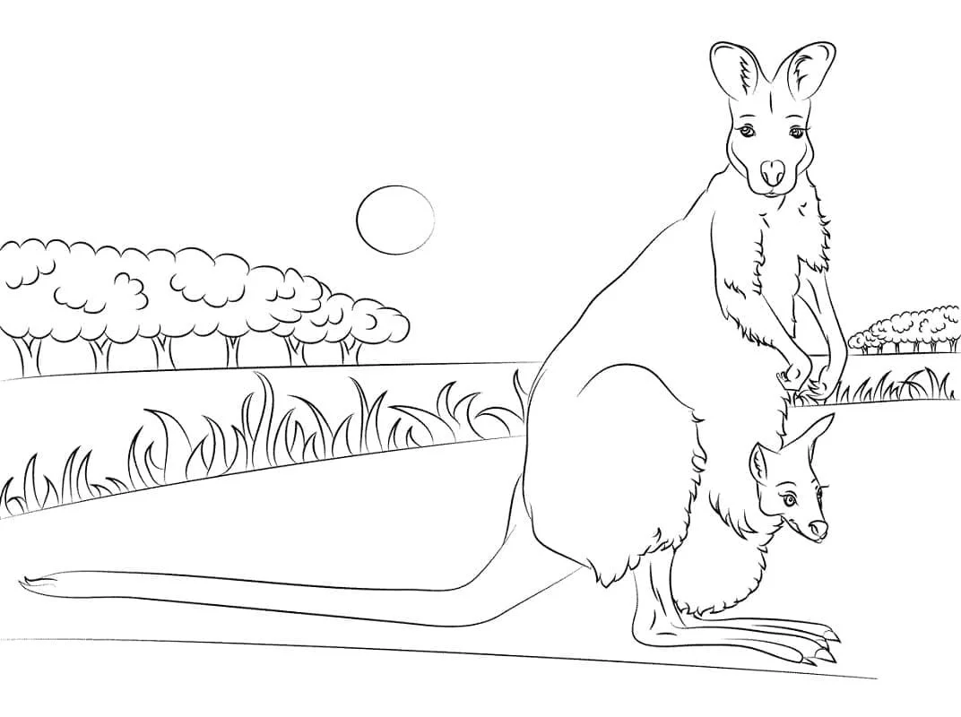 Australische Tiere Ausmalbilder 90