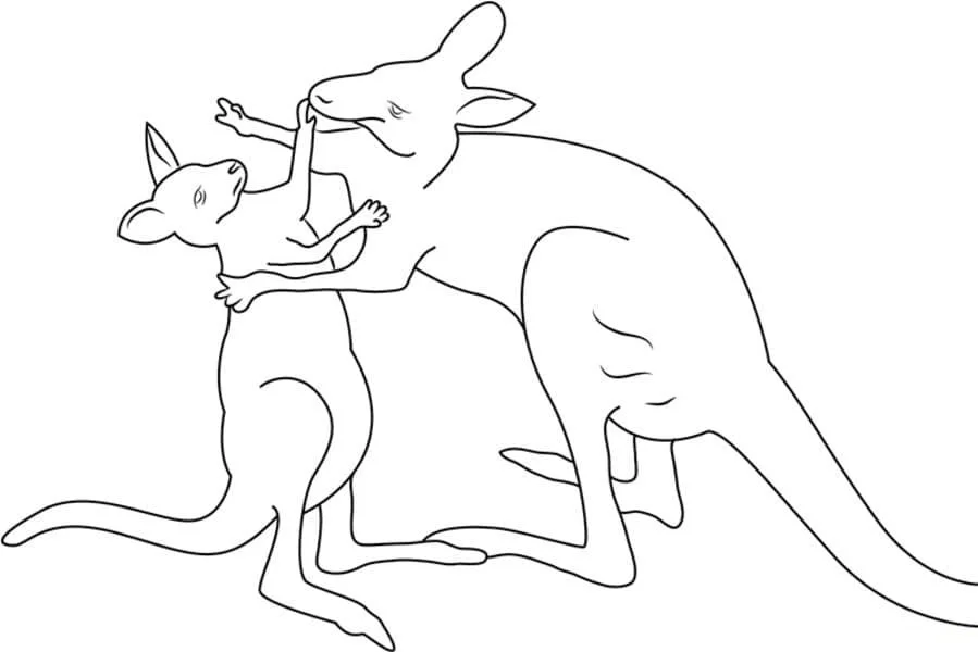 Animales Australianos Para Colorear 98