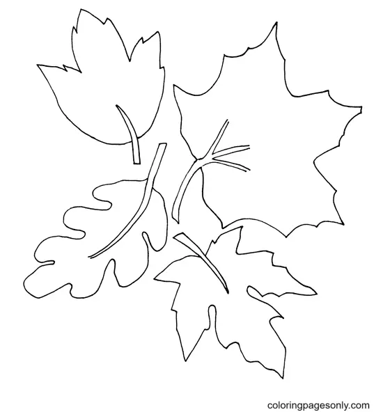 Autumn Leaves Coloring Pages 61