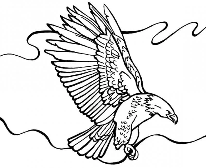 Bald Eagle Coloring Pages 94