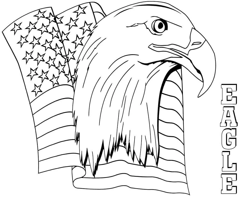 Bald Eagle Coloring Pages 96