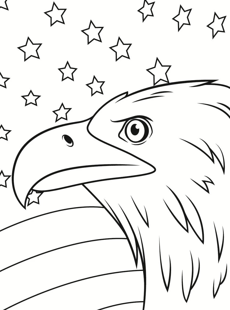 Bald Eagle Coloring Pages 98