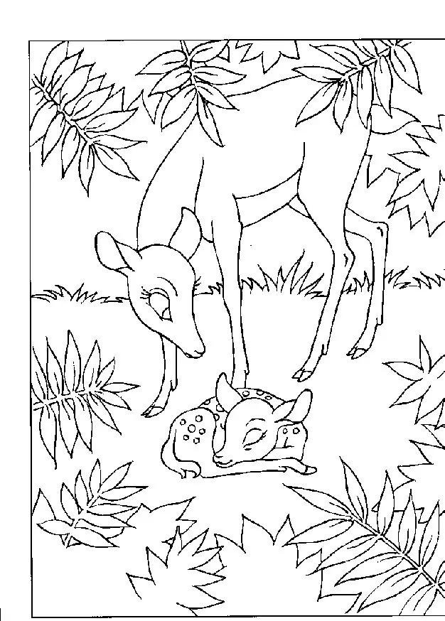 Bambi Coloring Pages 52