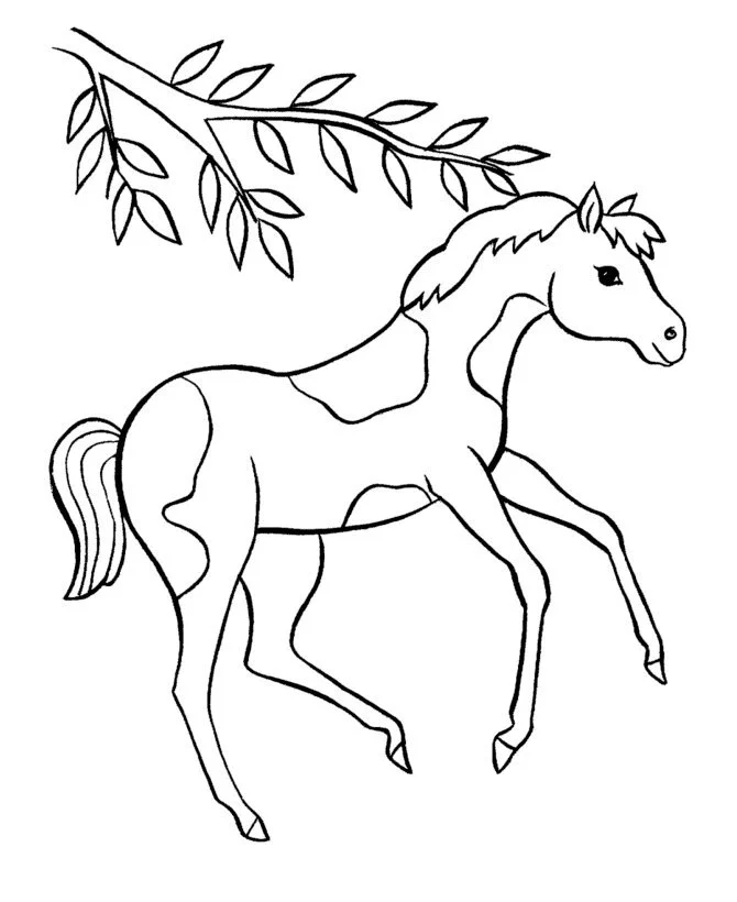 Barbie Horse Coloring Pages 17