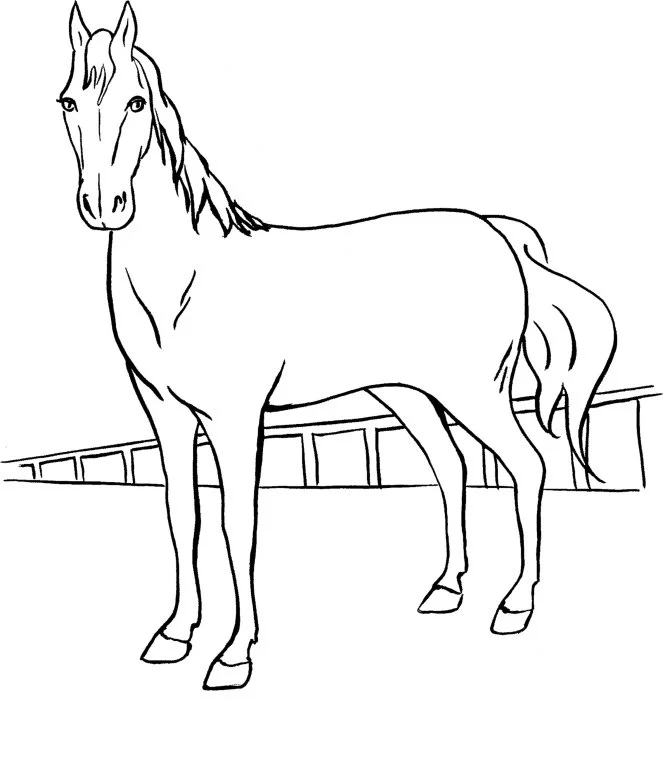 Barbie Horse Coloring Pages 44