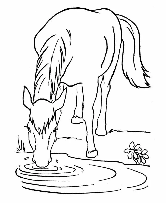 Barbie Horse Coloring Pages