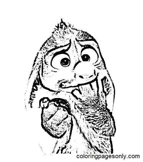 Bilby Coloring Pages