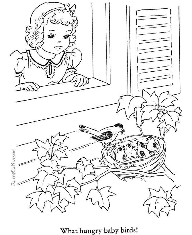 Desenhos de Bird Para Colorir 108