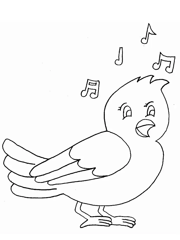 Desenhos de Bird Para Colorir 120