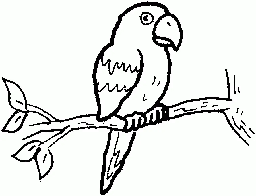 Desenhos de Bird Para Colorir 125