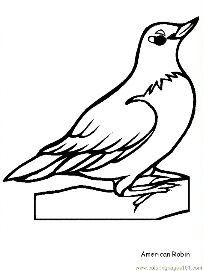 Desenhos de Bird Para Colorir 142