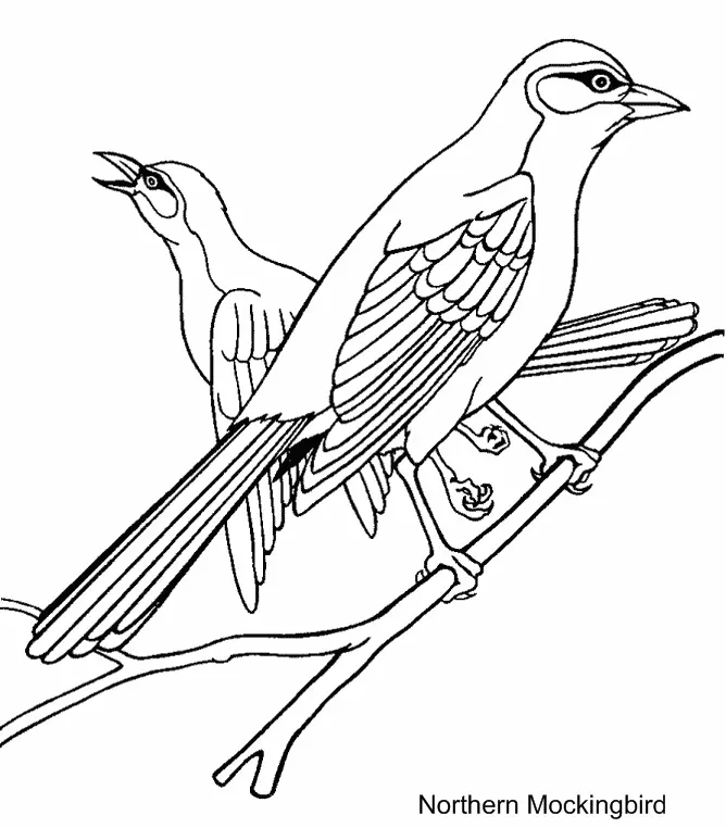 Desenhos de Bird Para Colorir 143