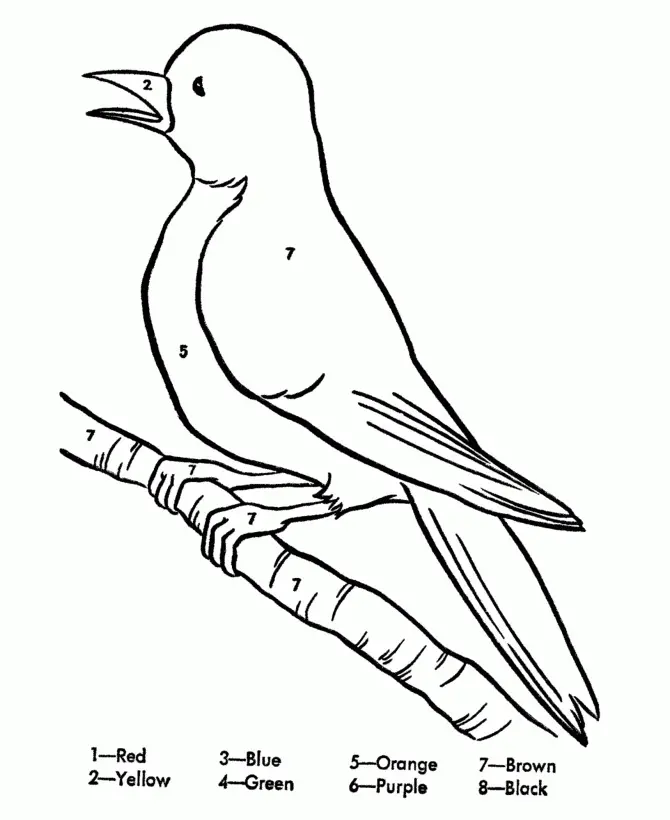 Bird Coloring Pages 157