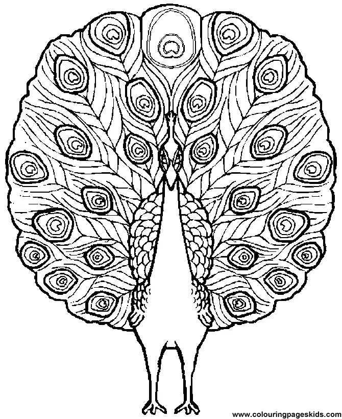 Desenhos de Bird Para Colorir 173