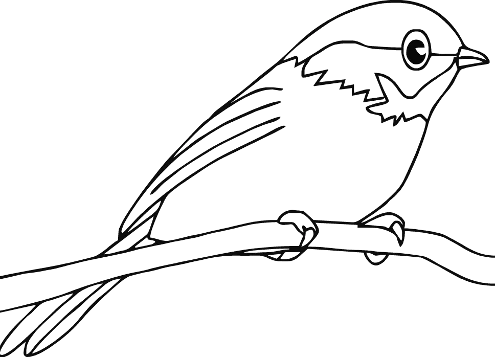 Bird Coloring Pages 182