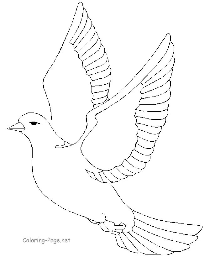 Desenhos de Bird Para Colorir 183