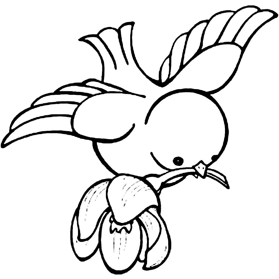 Desenhos de Bird Para Colorir 210