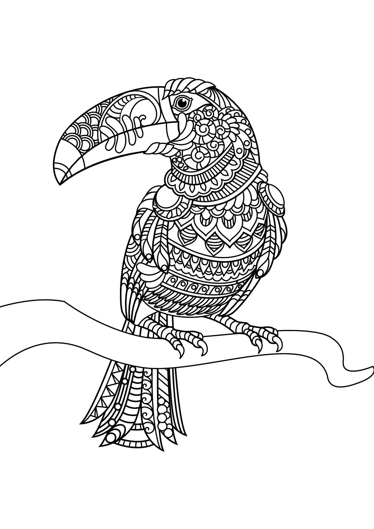 Pajaros Para Colorear 214