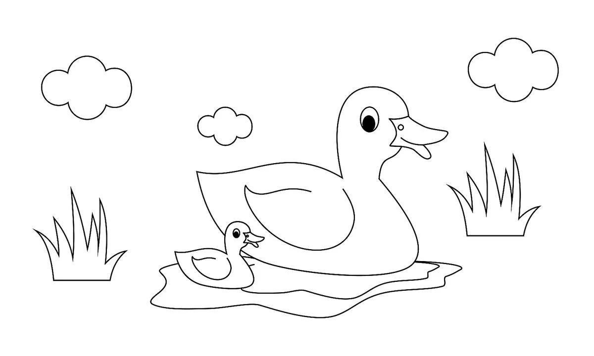 Bird Coloring Pages 217