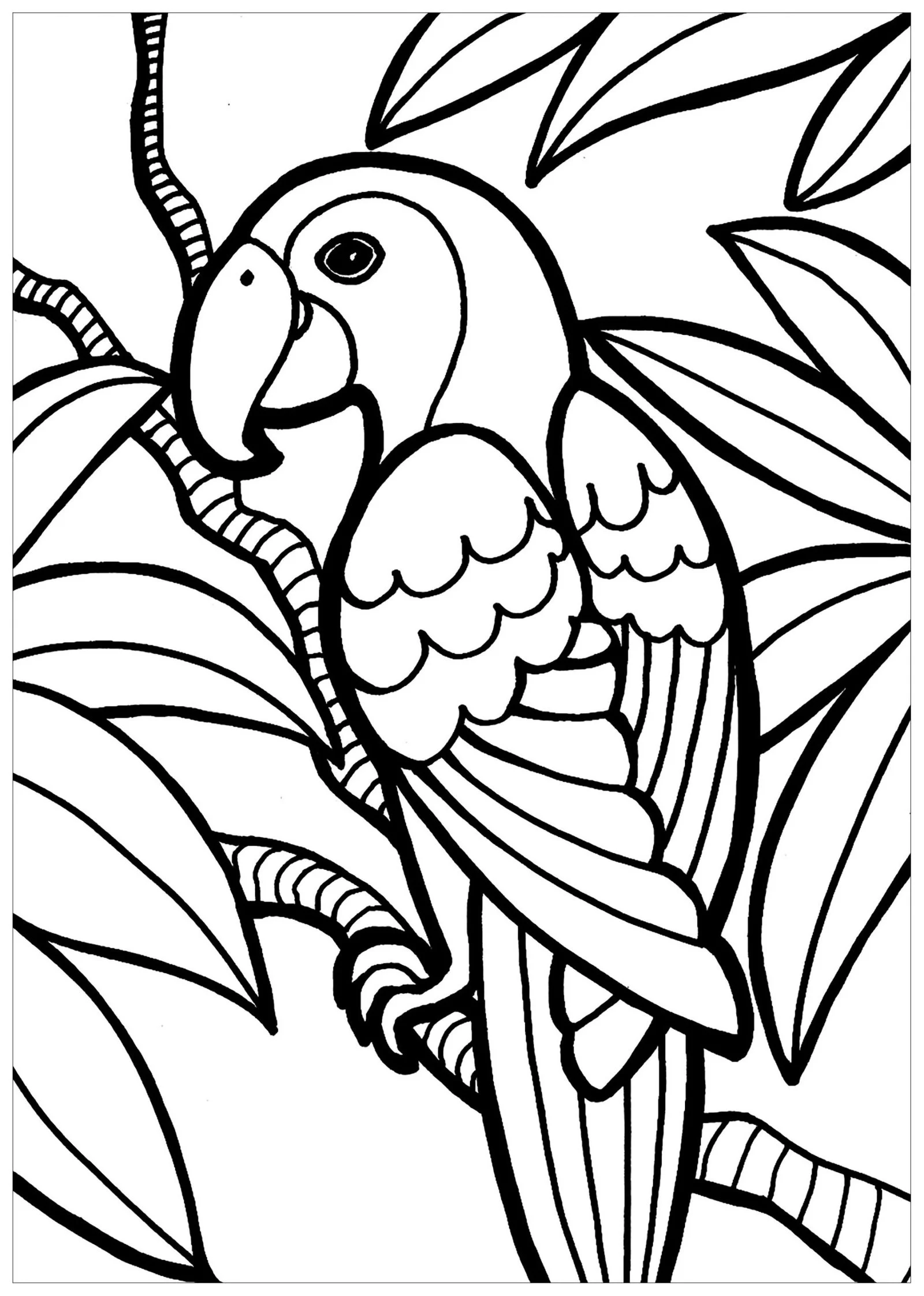 Bird Coloring Pages 223