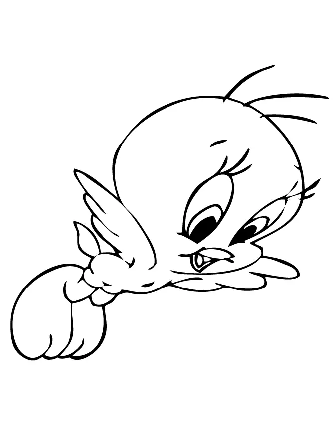 Desenhos de Bird Para Colorir 51