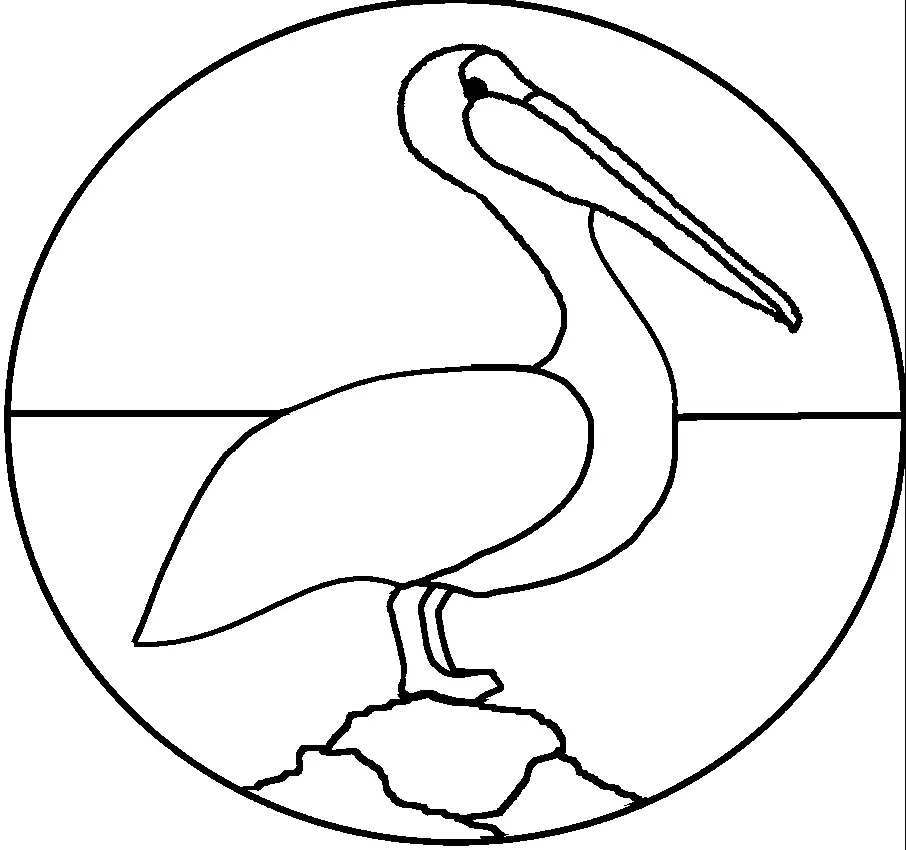 Desenhos de Bird Para Colorir 64