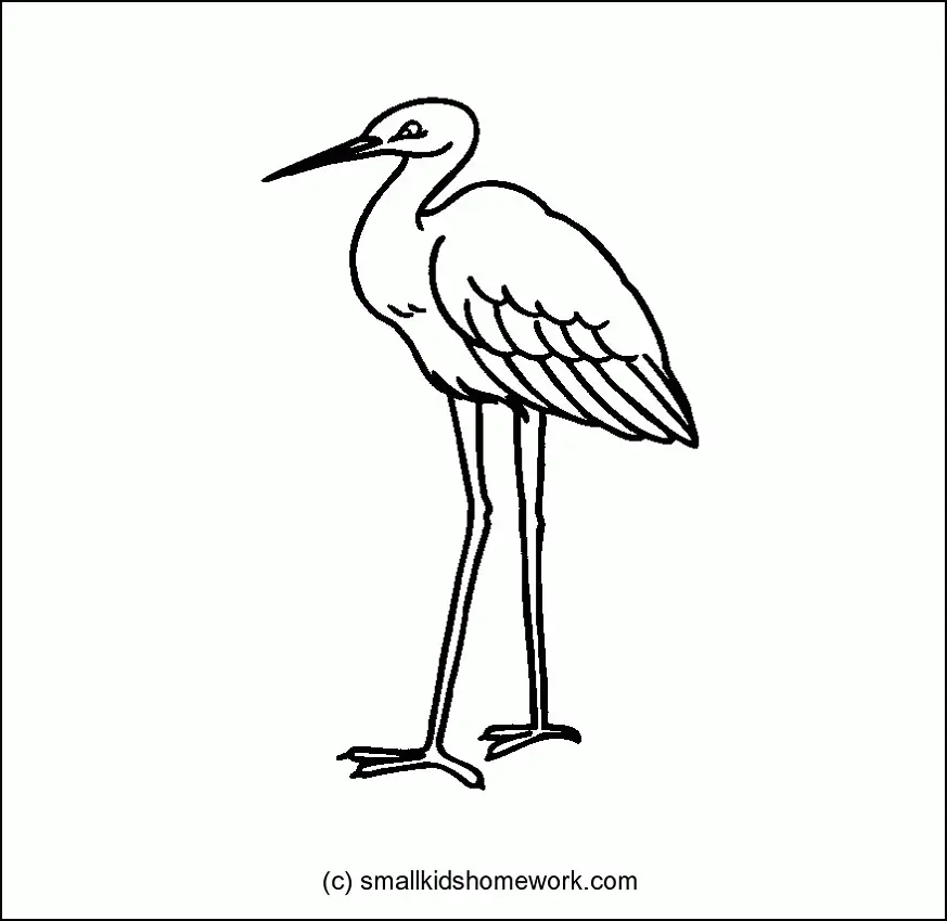 Desenhos de Bird Para Colorir 72