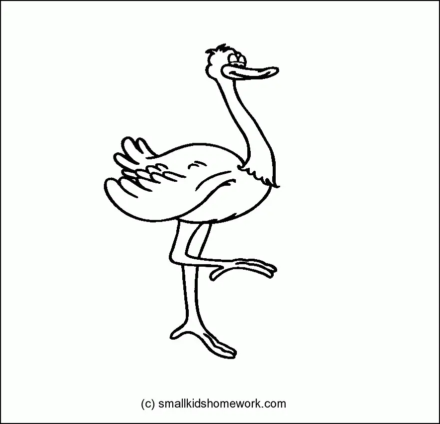 Desenhos de Bird Para Colorir 75