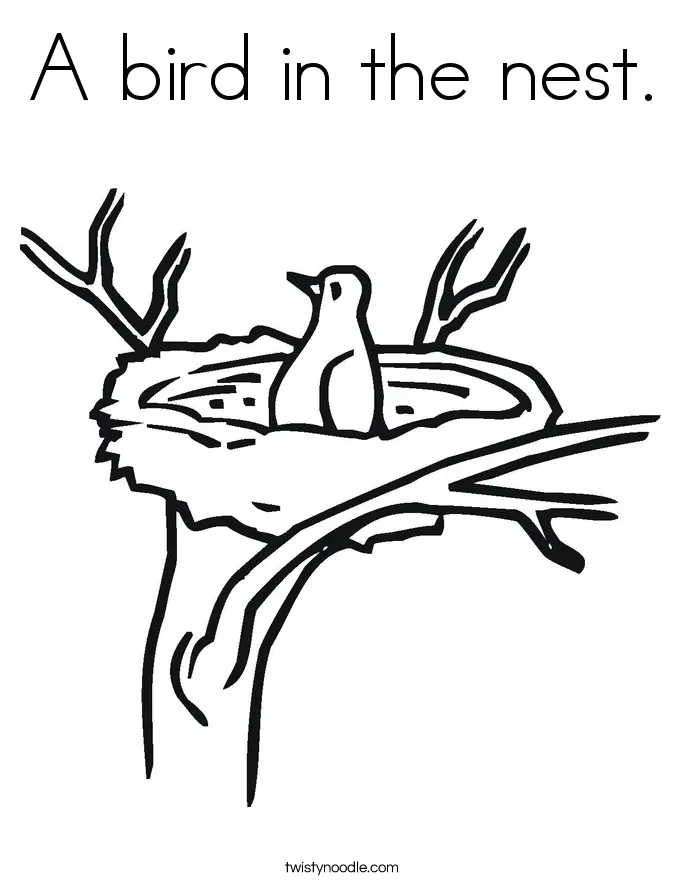 Bird Coloring Pages 80