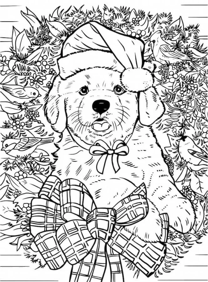 Black Widow Coloring Pages 164